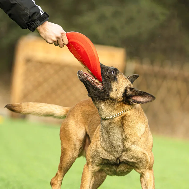 Ball Tug | Dog Toy | Toy Reward | Fetch Toy | Colorful Toy | Dog Agility Equipment | Performance Dog Reward | Dog Training | Training Toy